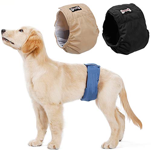 Doglemi Pañales Lavables para Perros machos, Bragas higiénicas para desenredar Las Costuras, 6 tamaños Disponibles de XS a XXL, Aptos para Todos los Perros (XS: 24-33cm, 3-Packs)