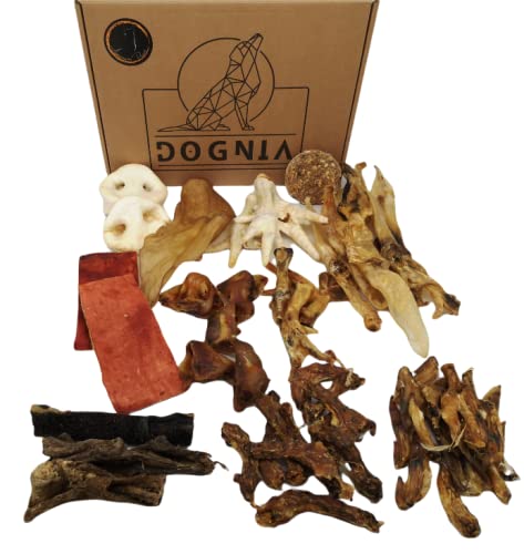DOGNIA | Caja de Snacks Naturales para Perro de Carne | Aperitivos de Carne deshidratada para Perros Hight-Protein. 55-60Piezas