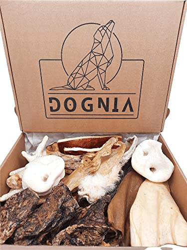 DOGNIA | Caja de Snacks Naturales para Perro de Carne | Aperitivos de Carne deshidratada para Perros Hight-Protein. 55-60Piezas