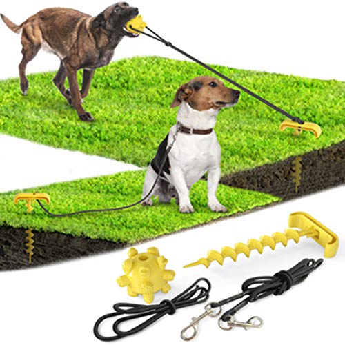 DUJIAOSHOU Estaca para perro en tierra, cable y estaca, correa de plomo para perro, anclaje de tierra en espiral resistente con bola molar de juguete (amarillo)