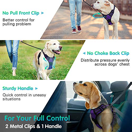 Eagloo Arnes de Perro Antitirones Cómodo Chaleco Ajustable Correa al Cuello y Pecho para Perros Pequeños Material Duradero Transpirable con Cinta Reflectante Adaptarse a Ejercer Externo XL/Púrpura