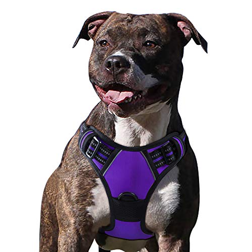Eagloo Arnes de Perro Antitirones Cómodo Chaleco Ajustable Correa al Cuello y Pecho para Perros Pequeños Material Duradero Transpirable con Cinta Reflectante Adaptarse a Ejercer Externo XL/Púrpura