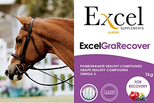 Excel Supplements Europe Excel GraRecover 1Kg | Suplemento para Caballos | Suplemento Muscular | Recuperación Muscular | Cuidado del Caballo | Salud del Caballo | Previene calambres