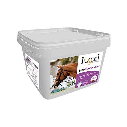 Excel Supplements Europe Excel GraRecover 1Kg | Suplemento para Caballos | Suplemento Muscular | Recuperación Muscular | Cuidado del Caballo | Salud del Caballo | Previene calambres