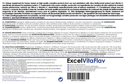 Excel Supplements Europe Excel VitaFlav 1Kg | Suplemento para Caballos | Suplemento respiratorio | Mejora la respiración del equino | Aumenta el Rendimiento del Caballo | Cuidado del Caballo