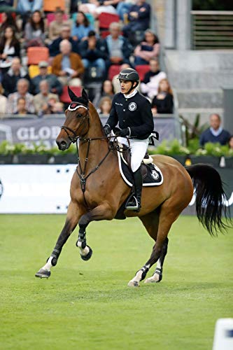 Excel Supplements Europe Excel VitaFlav 1Kg | Suplemento para Caballos | Suplemento respiratorio | Mejora la respiración del equino | Aumenta el Rendimiento del Caballo | Cuidado del Caballo