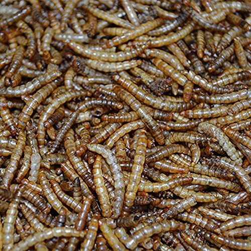 FINCA CASAREJO Tenebrios deshidratados - Gusanos Secos para alimentación Animal - Fuente Natural de proteínas para Patos y Otras Aves (700 g)