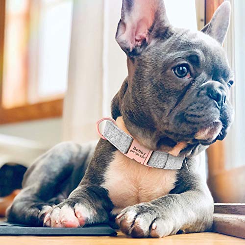 Forestpaw Collares de perro pequeños para niñas, collares de perro personalizados y personalizados para perros medianos, collares de perro con nombres bordados para perros grandes, hembra, gris, L