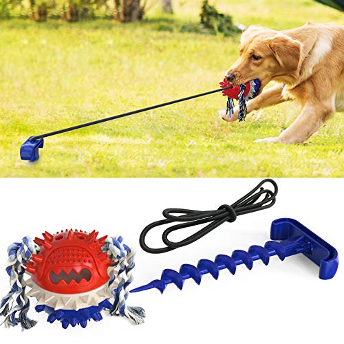 HAOERDG Juguete para masticar perros grandes, juguete de bola de mordedura, juguete para perros al aire libre, juguete de entrenamiento educativo para perros interactivo (azul)