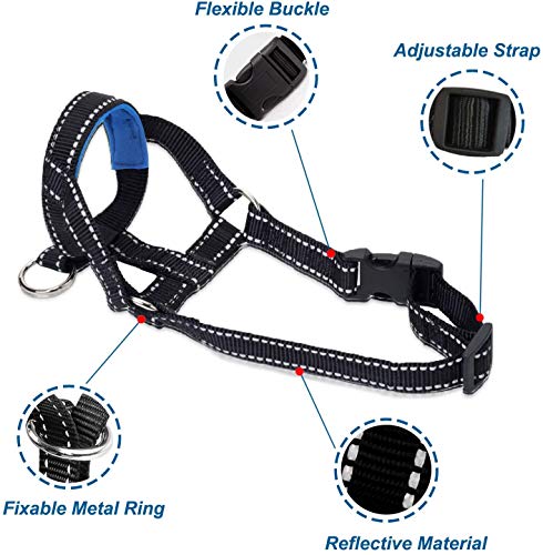 ILEPARK Cuello De Cabeza para Perros con Cinturino Riflettente, Cabestro para Perros, Regolabile E Facilmente Controllabile. (L,Azul)