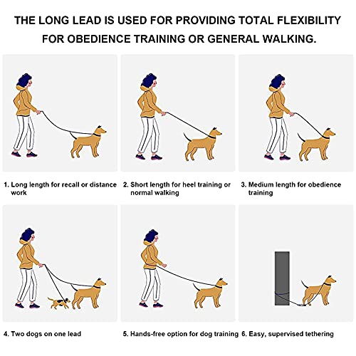 iNeego Correa Perro Adiestramiento 30 Metros Correa de Adiestramiento para Perros 30m Correas Básicas Nylon Resistente para Camping Paseo Longitud