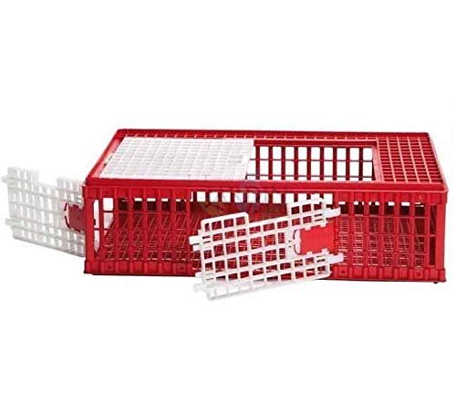 JAULA de plástico para transporte de aves. Medidas 95x57x29 cm