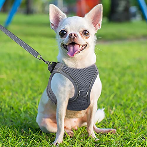 Joytale Arnes Perro, Reflectante Cómodo Transpirable Arnés, Perros Arneses Chaleco para Gato y Cachorros Perro, Gris, XS