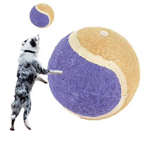 Juguetes para Gato Juguetes Gato Muelle para Gatos Muelle Gatos Juguete para Gatos Juguetes para Gatos Interactivos Rueda Gatos Ejercicio Gatos Juguetes 12.5,Purple