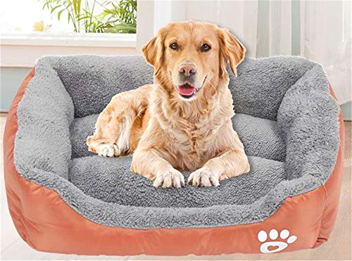 Martin Kench Cama para perros, cesta para perros, sofá para perros, cojín para perros, funda lavable, cojín cuadrado (naranja, M)