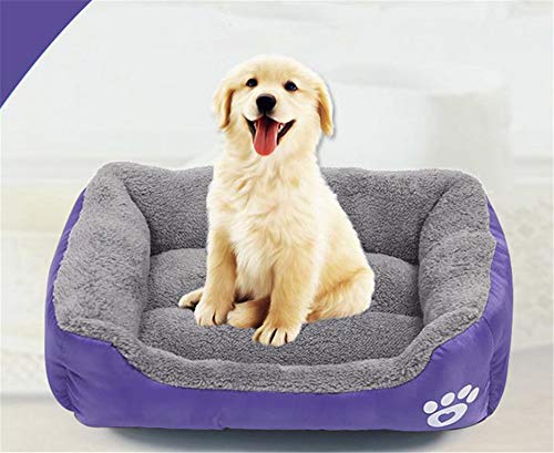 Martin Kench Cama para perros, cesta para perros, sofá para perros, cojín para perros, funda lavable, cojín cuadrado (naranja, M)