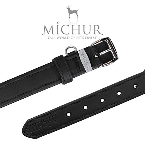 MICHUR Minimo Collar de Cuero para Perros, Cuello, Negro y un Anillo con Placa de identificación para Placas de identificación, Cuero, Disponibles en Diferentes tamaños, 51cm