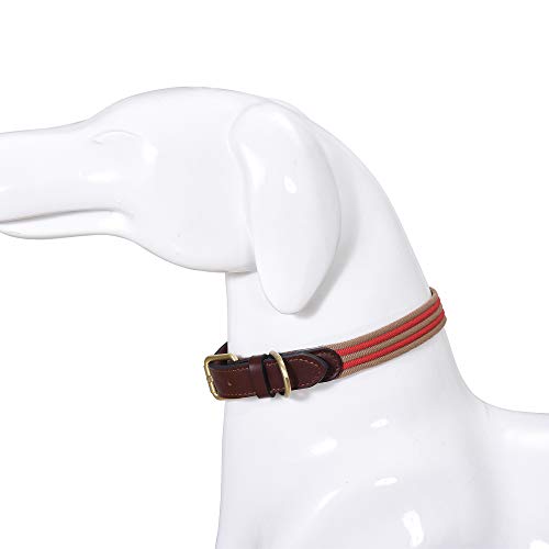 Mile High Life | Collar de Perro de Lona de Primera Calidad | Collar de Perro con Hebilla de aleación de Zinc | Collar de cinturón de Cuero Genuino