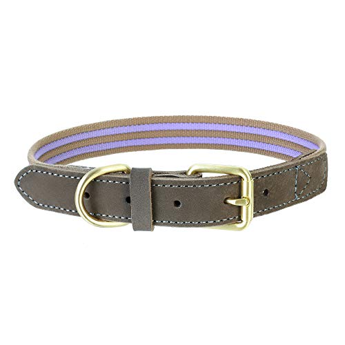 Mile High Life | Collar de Perro de Lona de Primera Calidad | Collar de Perro con Hebilla de aleación de Zinc | Collar de cinturón de Cuero Genuino