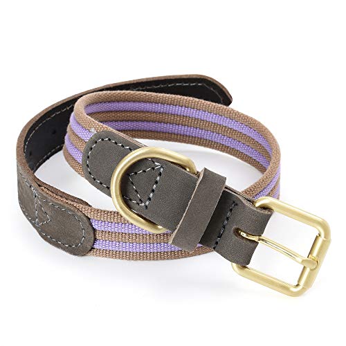 Mile High Life | Collar de Perro de Lona de Primera Calidad | Collar de Perro con Hebilla de aleación de Zinc | Collar de cinturón de Cuero Genuino
