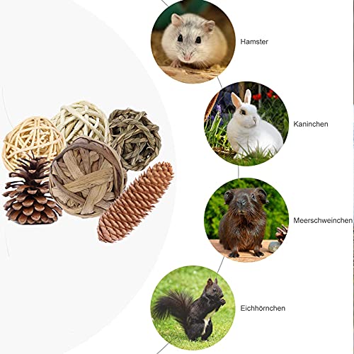 NAMIS Pequeños Animales Juguetes para Masticar Hámster 10 Pcs Natural Bola de Hierba con piñas de Pino Bolas de ratán Tejidas Natural Molar Juguetes para Conejos, Chinchillas, Hámsters, Cobayas