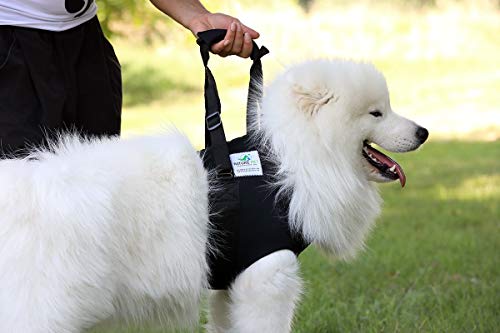 NATURE PET Accesorio Frontal para Transportar Perros - Asistencia en la rehabilitación de Perros Viejos o Enfermos - Azul - L