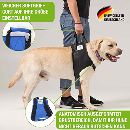 NATURE PET Accesorio Frontal para Transportar Perros - Asistencia en la rehabilitación de Perros Viejos o Enfermos - Azul - XXL