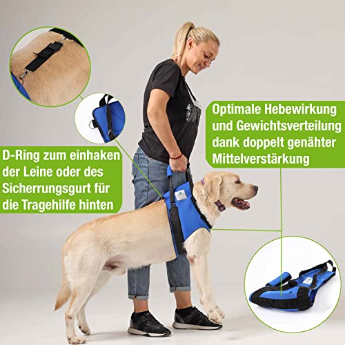 NATURE PET Accesorio Frontal para Transportar Perros - Asistencia en la rehabilitación de Perros Viejos o Enfermos - Azul - XXL