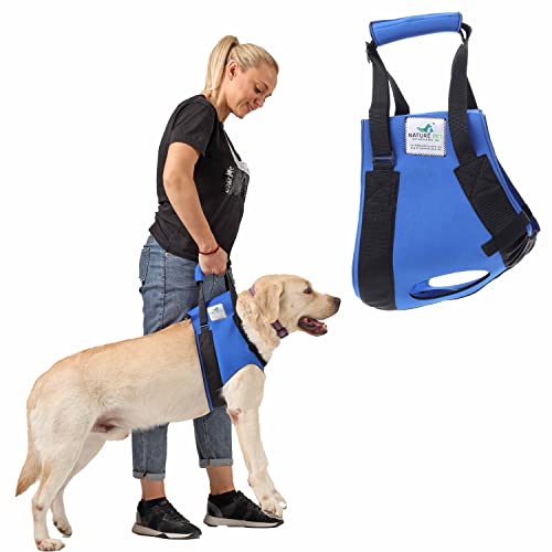 NATURE PET Accesorio Frontal para Transportar Perros - Asistencia en la rehabilitación de Perros Viejos o Enfermos - Azul - XXL