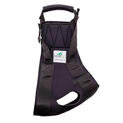 NATURE PET Accesorio Frontal para Transportar Perros - Asistencia en la rehabilitación de Perros Viejos o Enfermos - Negro - L