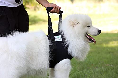 NATURE PET Accesorio Frontal para Transportar Perros - Asistencia en la rehabilitación de Perros Viejos o Enfermos - Negro - S