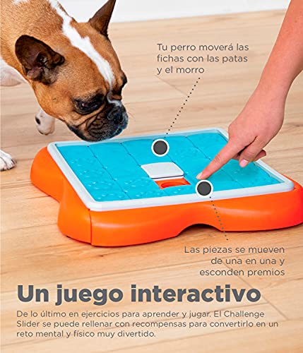 Nina Ottosson por Outward Hound Challenge Slider - Rompecabezas para perros con módulos deslizantes - Juguete estimulador con dispensador de premios