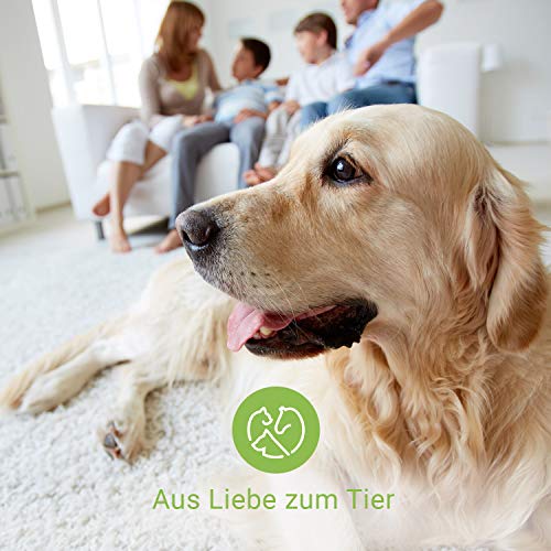 Nutrani Bach Flower Remedies Globules No. 1 para Perros y Gatos | Apoyo en Caso de Emergencia, estrés y ansiedad - Mezcla de Flores según el Dr. Bach para calmar y relajar a los Animales estresados