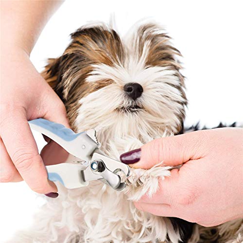 OVsler CortauñAs Perro CortauñAs Perro PequeñO CortauñAs Gato Corta UñAs De Perro Cortador UñAs Perro CortauñAs Gatos Corta UñAs Gatitos Blue,s