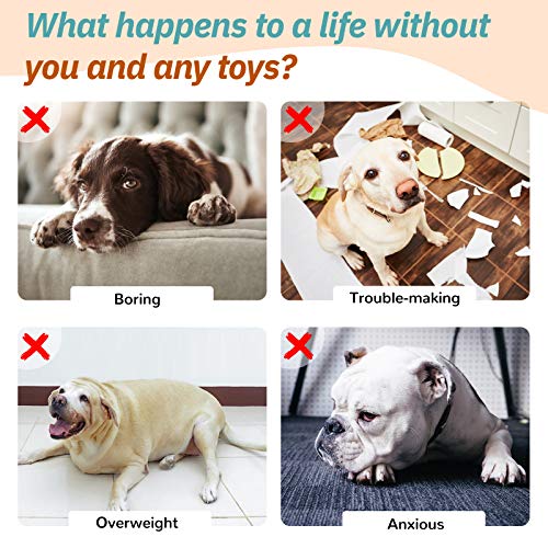 Pawaboo [2 PZS Juguete Interactivo para Mascotas, Juguete para Dentición del Perro Chillón, Juguete de Peluche de Zanahoria y Berenjena, Especialmente Diseñado para Perros Pequeños y Pedianos