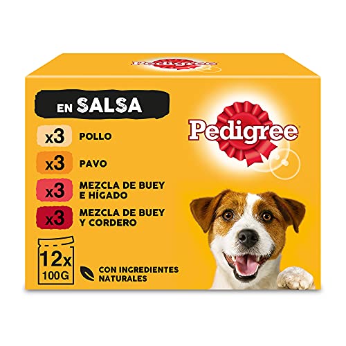 Pedigree Comida húmeda para Perros sabores Mixtos en Salsa, Multipack + Vital Protection – Comida para Perros en Bolsa, Salsa de Pollo, Ternera, Ave y Cordero, 40 x 100 g, Paquete Grande