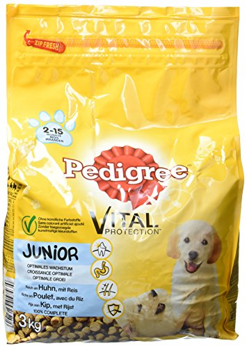 Pedigree Pienso para perros Junior Pienso con pollo y arroz, 3 bolsas (3 x 3 kg)