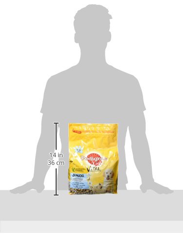 Pedigree Pienso para perros Junior Pienso con pollo y arroz, 3 bolsas (3 x 3 kg)