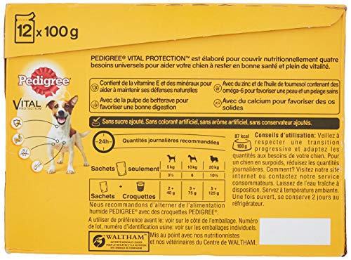 PEDIGREE Vital Protection - Sachets fraîcheur pour Chien Adulte aux 4 saveurs en Sauce, 48 sachets repas de 100g
