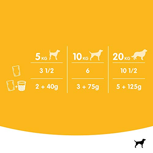 PEDIGREE Vital Protection - Sachets fraîcheur pour Chien Adulte aux 4 saveurs en Sauce, 48 sachets repas de 100g