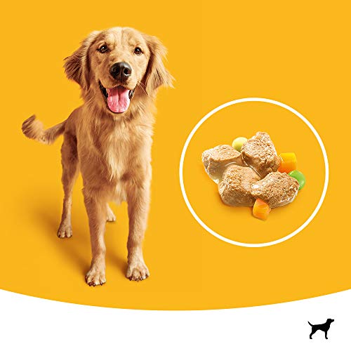 PEDIGREE Vital Protection - Sachets fraîcheur pour Chien Adulte aux 4 saveurs en Sauce, 48 sachets repas de 100g