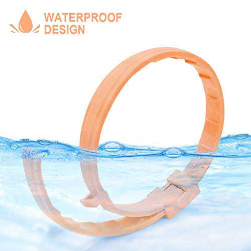 PetInn Collar de Pulgas y Garrapatas para Gato,Acción Prolongada 10 Meses de Protección y Prevención contra Pulgas Garrapatas,Piojos,Talla Única para Todos,Ajustable, Impermeable.