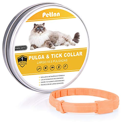 PetInn Collar de Pulgas y Garrapatas para Gato,Acción Prolongada 10 Meses de Protección y Prevención contra Pulgas Garrapatas,Piojos,Talla Única para Todos,Ajustable, Impermeable.