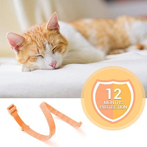 PetInn Collar de Pulgas y Garrapatas para Gato,Acción Prolongada 10 Meses de Protección y Prevención contra Pulgas Garrapatas,Piojos,Talla Única para Todos,Ajustable, Impermeable.