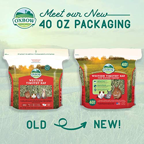 Petlife Oxbow Western Timothy Hay for Small Pet, 1.1 Kg