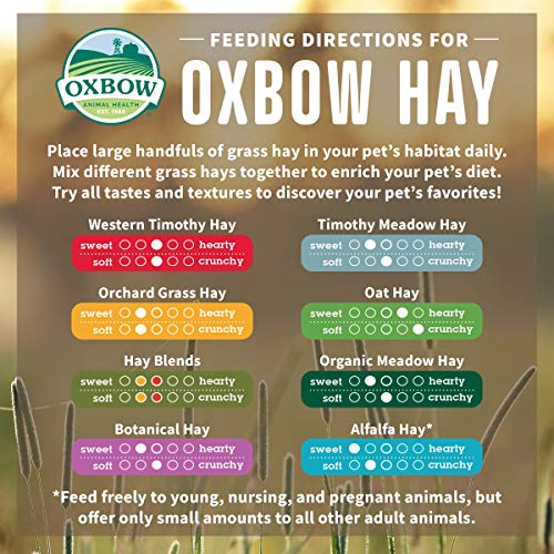 Petlife Oxbow Western Timothy Hay for Small Pet, 1.1 Kg
