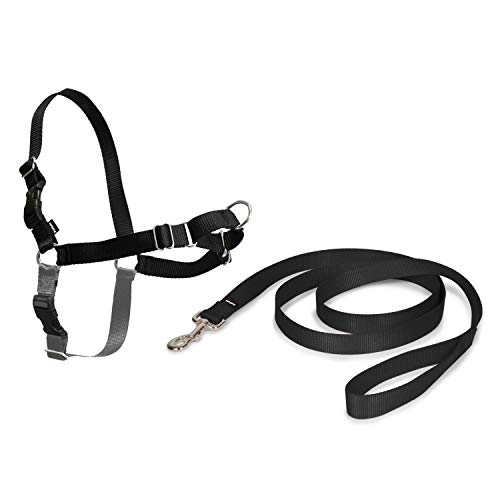 PetSafe Easy Walk - Arnés para Perros, Correa de 1,8 m, Talla S, Color Negro y Beis