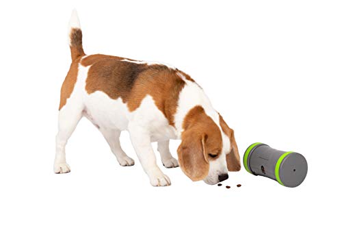 Petsafe Kibble Chase - Dispensador de Comida y Golosinas para Perros, Juguete Interactivo Inteligente para Perros, Funciona con Pilas, Resistente, para perros Pequeños, Medianos y Grandes