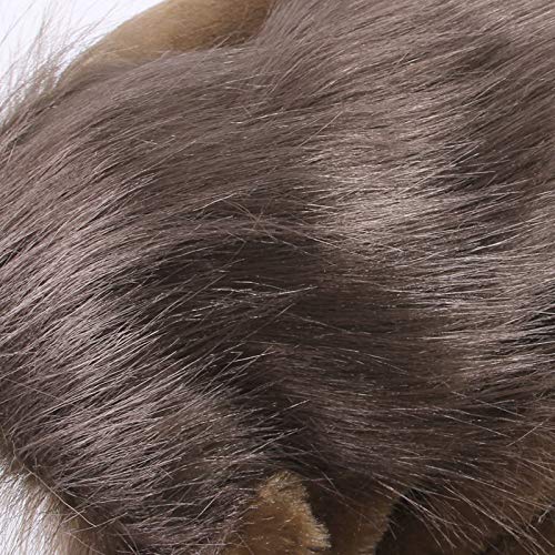 Petyoung Perro Cuerno Mane Traje Perro Peluca Ropa Sombreros Gato Disfraz de Toro Accesorios para Mascotas