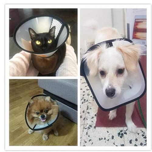 PiniceCore Collar Transparente para Mascotas Pequeño Perro del Gato de Peluche Collar de Perro Protector de Cuello Cono de recuperación para Anti-Bite Lick Curación de Heridas Protector 6#